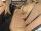 2025 BMW 330i 330i xDrive